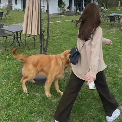 国际女间谍